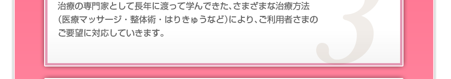 治療の専門家として長年に渡って学んできた、さまざまな治療方法(医療マッサージ・整体術・はりきゅうなど)により、ご利用者さまのご要望に対応していきます。